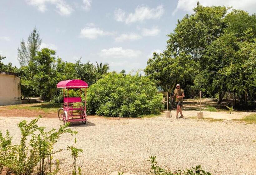 فندق Club De Patos