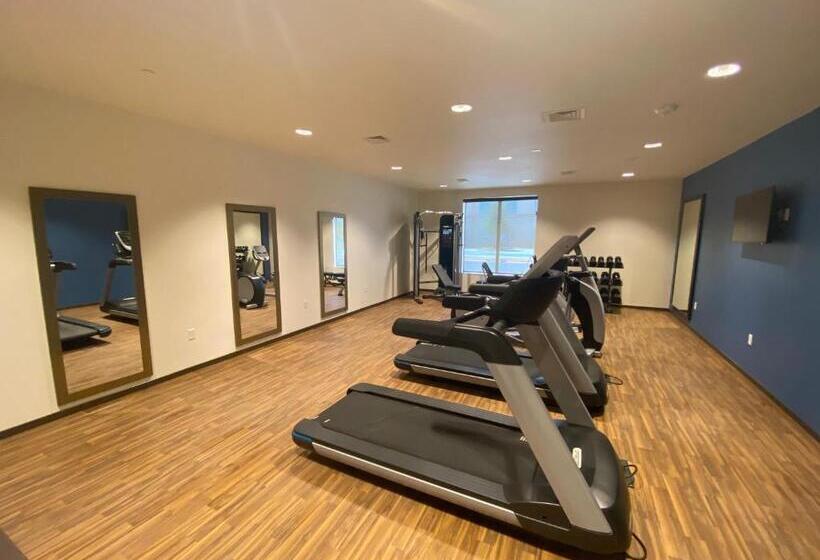 酒店 Comfort Suites Midland West