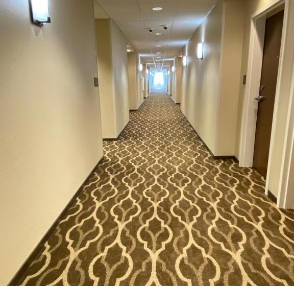 酒店 Comfort Suites Midland West