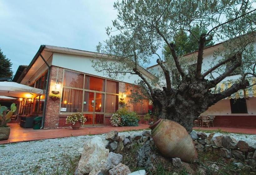 בית מלון כפרי Giuly