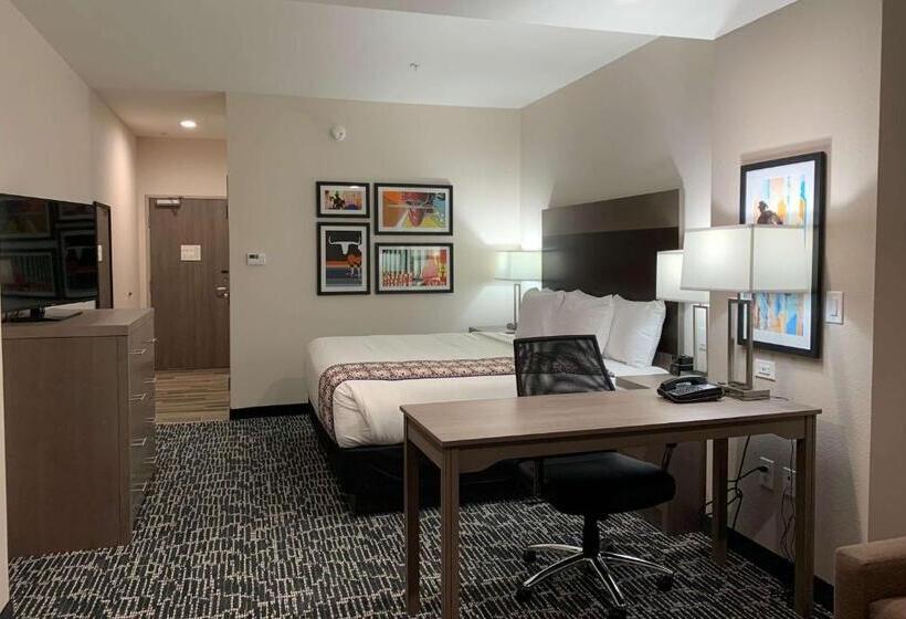 فندق La Quinta Inn & Suites By Wyndham   Red Oak Tx Ih 35e