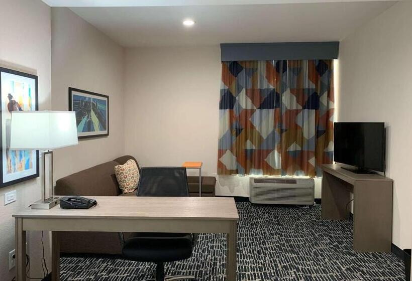 فندق La Quinta Inn & Suites By Wyndham   Red Oak Tx Ih 35e