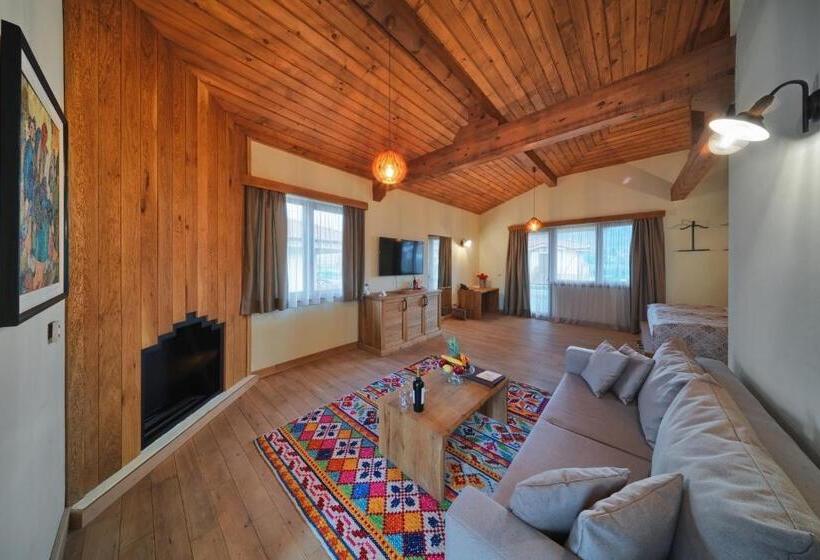 酒店 Spa Complex Belchin Spring