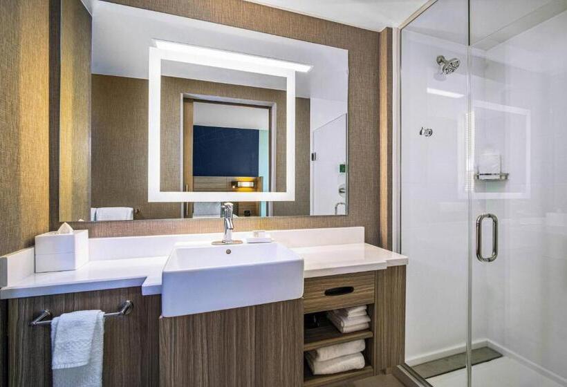 호텔 Springhill Suites By Marriott Phoenix Goodyear