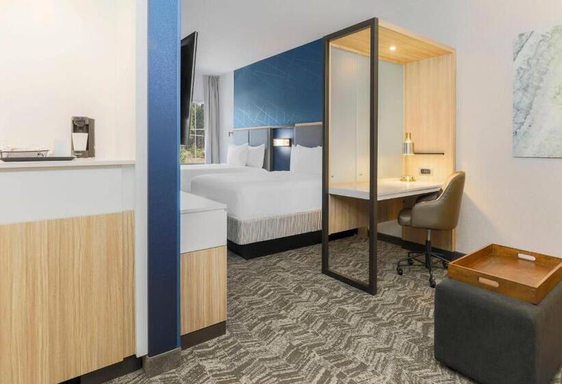 בית מלון כפרי Springhill Suites By Marriott Truckee