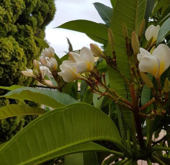 Мотель Port Pirie Accommodation And Apartments