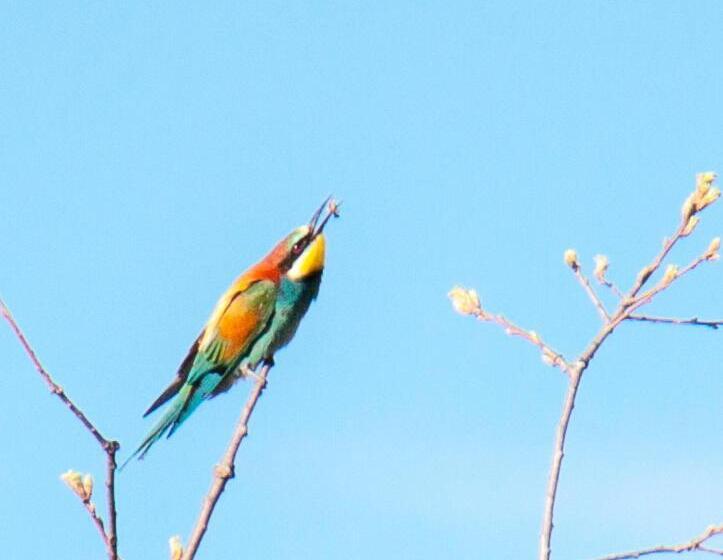 بنسيون Hostal La Llave