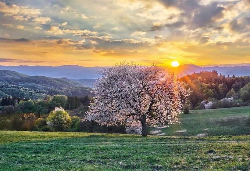 ペンション Penzión Amálka