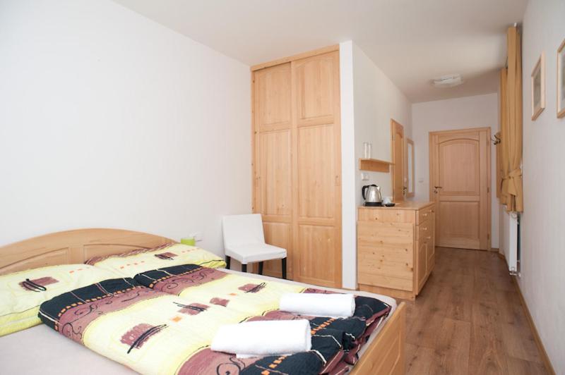 ペンション Penzion Prátr