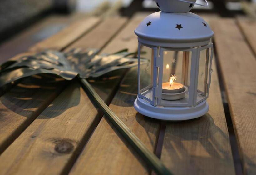 پانسیون San Miguel 34 Rooms