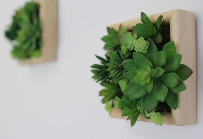 پانسیون San Miguel 34 Rooms