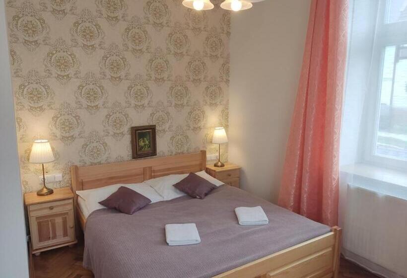 بنسيون Vila Janáčkova   1st Republic Villa