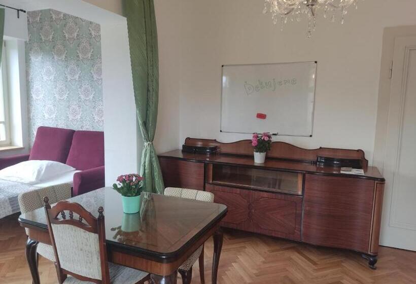 بنسيون Vila Janáčkova   1st Republic Villa