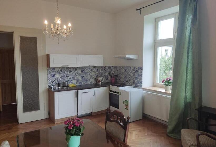 بنسيون Vila Janáčkova   1st Republic Villa