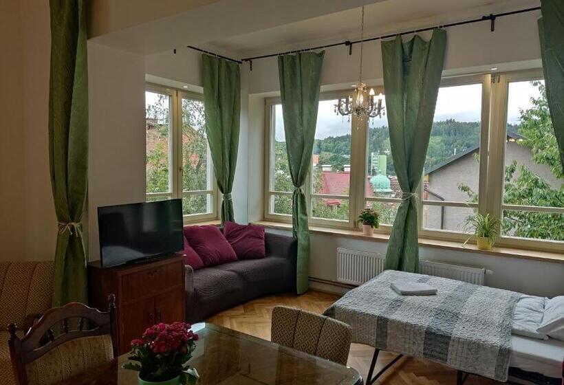 بنسيون Vila Janáčkova   1st Republic Villa