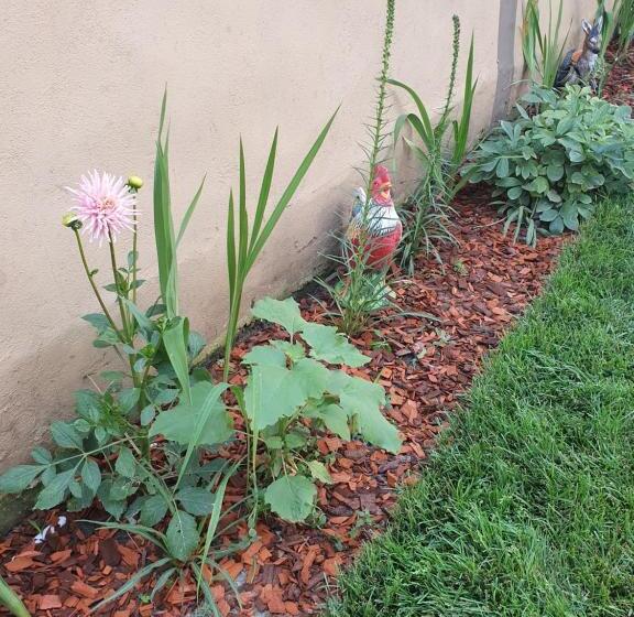 ペンション Yannis Guest House