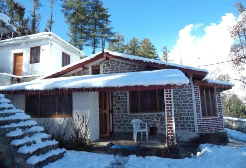 Resort With Mesmerizing Mountain Views & Pine Trees