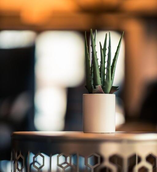 The Bivvi Hostel Telluride