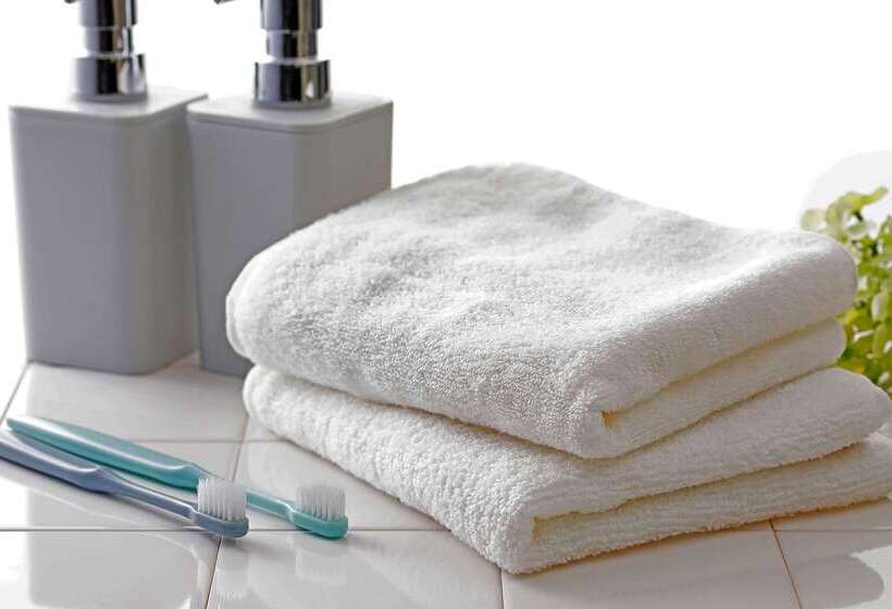 Comfort Hotel Toyokawa