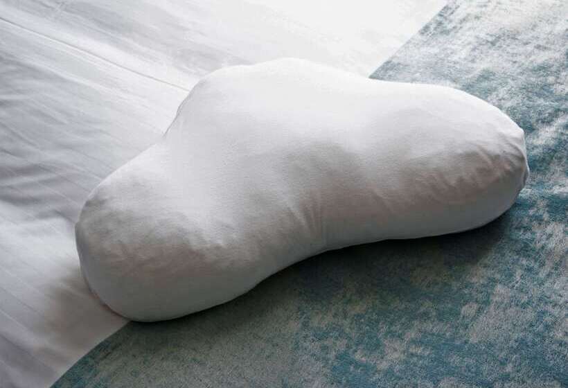 Comfort Hotel Toyokawa