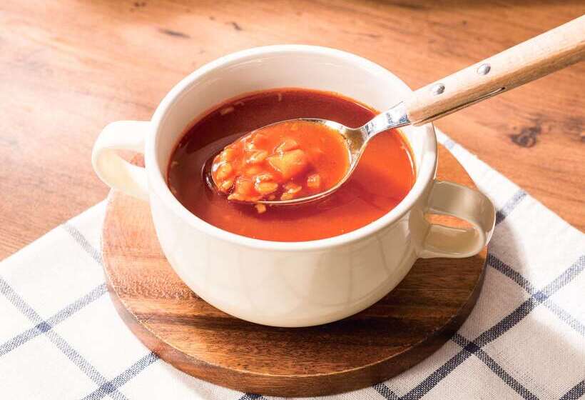 Comfort Hotel Toyokawa