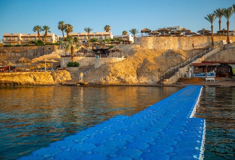 Doubletree By Hilton Sharm El Sheikh  Sharks Bay Resort