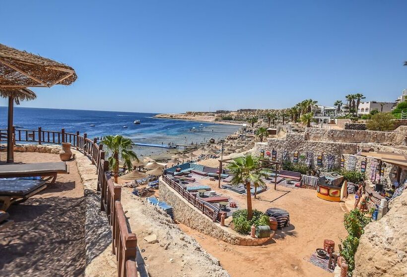 Doubletree By Hilton Sharm El Sheikh  Sharks Bay Resort