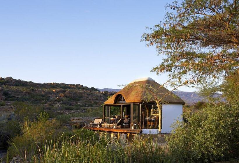 ホテル Bushmans Kloof Wilderness Reserve And Wellness Retreat
