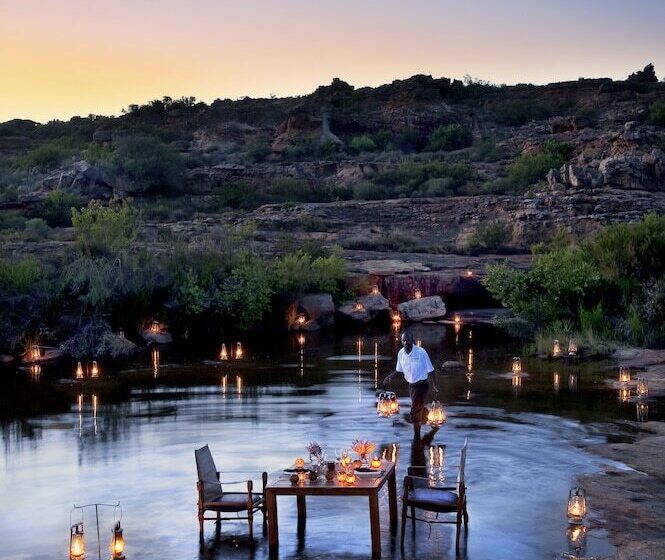 ホテル Bushmans Kloof Wilderness Reserve And Wellness Retreat