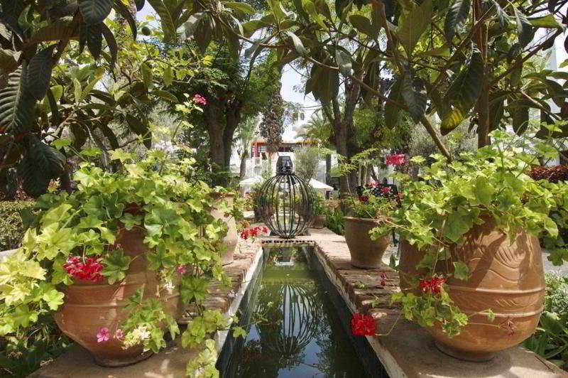 בית מלון כפרי Caribbean Village Agador - All Inclusive