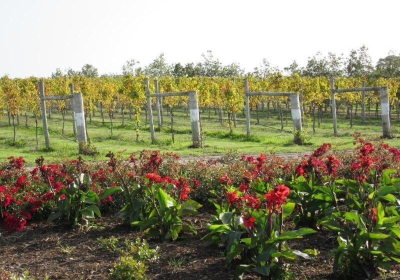 هتل Carrington Estate