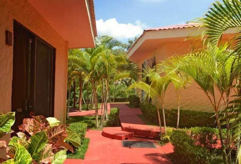 فندق Condor Lodge