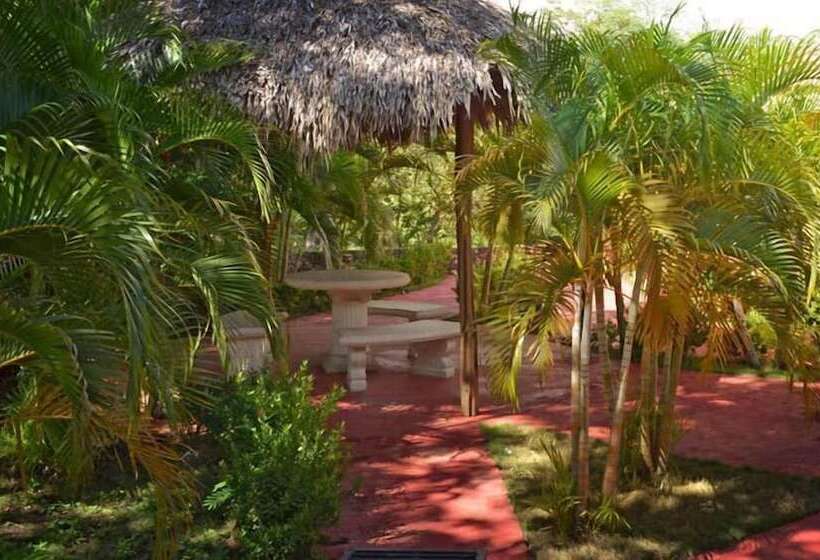 فندق Condor Lodge