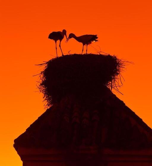 ホテル Dar Les Cigognes