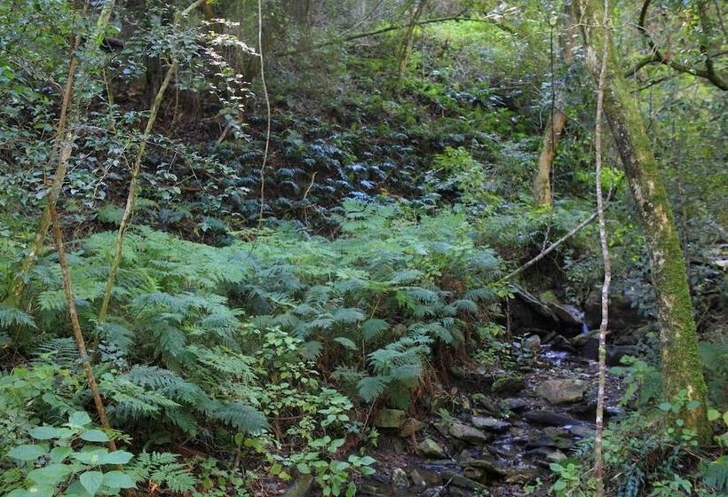 ホテル Far Hills Country