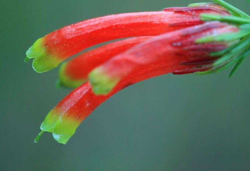 ホテル Far Hills Country