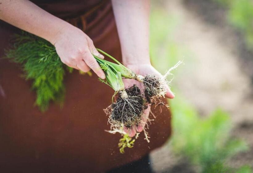 Högbo Brukshotell & Spa