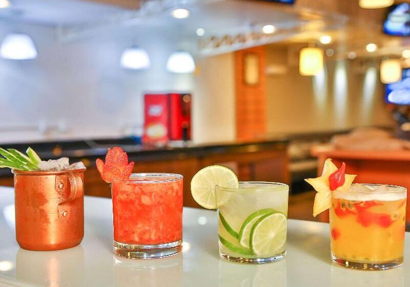 בית מלון כפרי Ibis Maringa