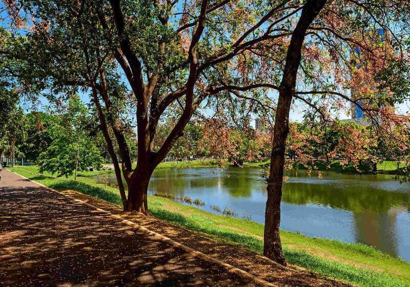 호텔 Ibis Ribeirao Preto Shopping