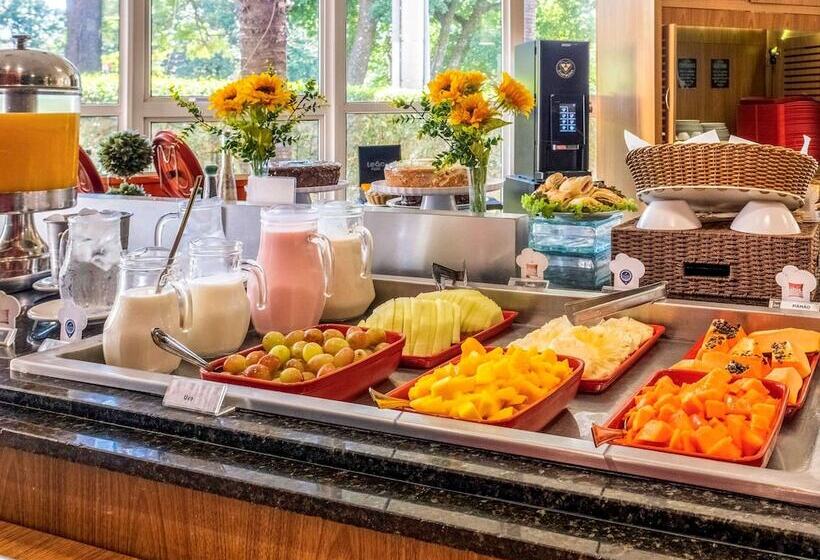 Отель Ibis Sao Jose Do Rio Preto