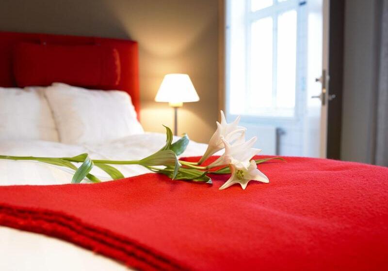 בית מלון כפרי L Stadsparken