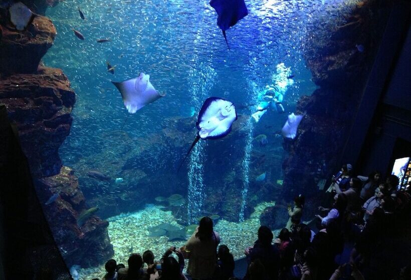 호텔 Livemax Kyoto Gojo