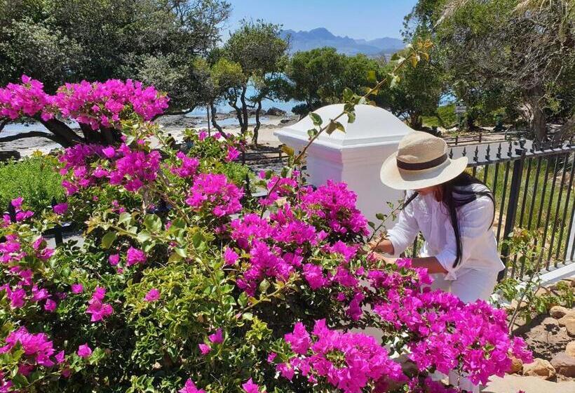 فندق Manor On The Bay