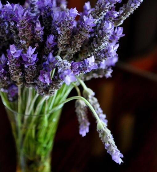 Отель Manor On The Bay