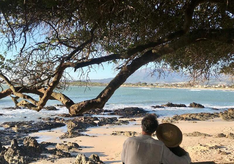 Отель Manor On The Bay