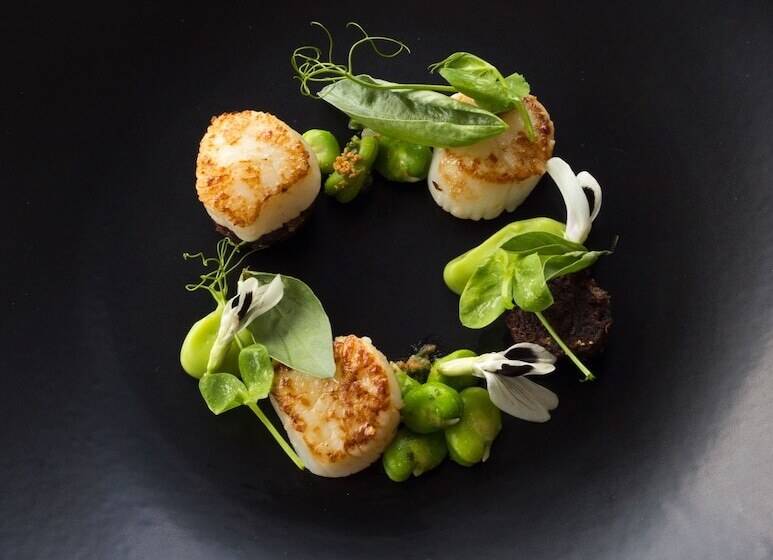 هتل Rosewood Matakauri