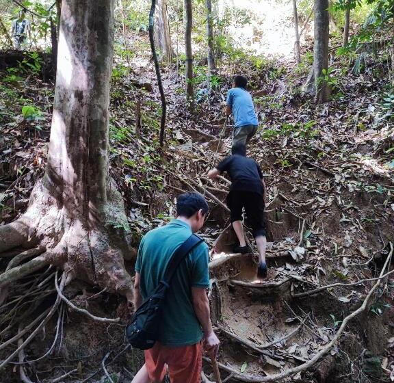 ホテル Mutiara Taman Negara