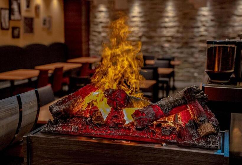 酒店 Mystays Shin Osaka Conference Center