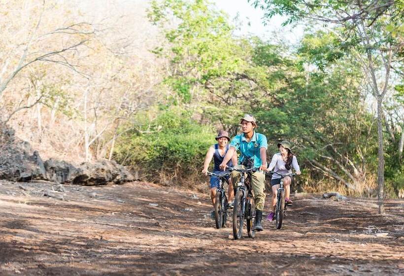 בית מלון כפרי Nusabay Menjangan