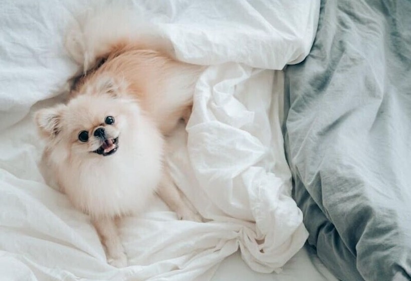 호텔 Oakwood Premier Coex Center